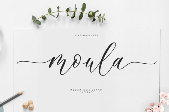 Elevate Your Brand with Moula: A Premium Script Font