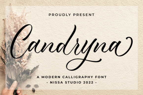 Enhance Your Brand with Candryna: A Premium Handwritten Font