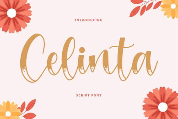 Enhance Your Brand with Celinta: A Premium Script Font