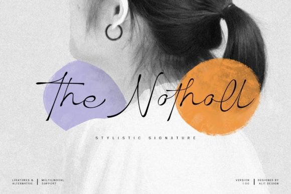 Enhance Your Web Design with The Notholl Font