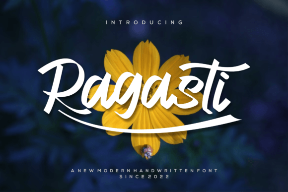 Ragasti: A Modern Script Font for Creative Web Design